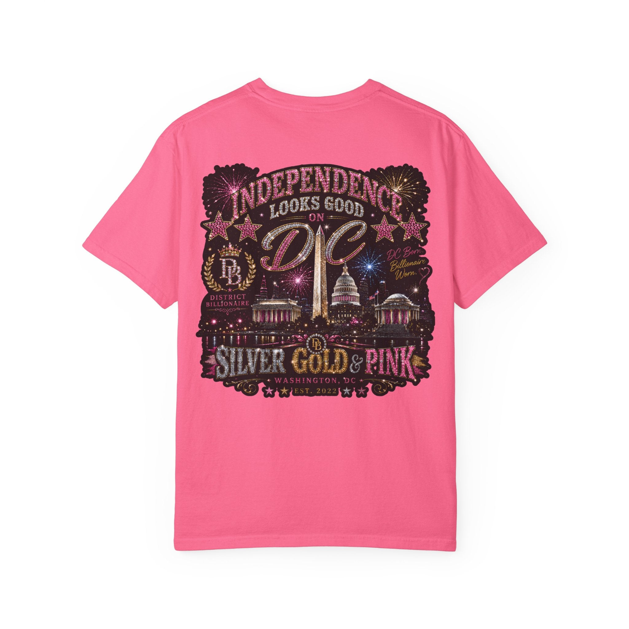 Independence Looks Good on DC Tee — Silver, Gold & Pink Washington D.C. Graphic T-Shirt