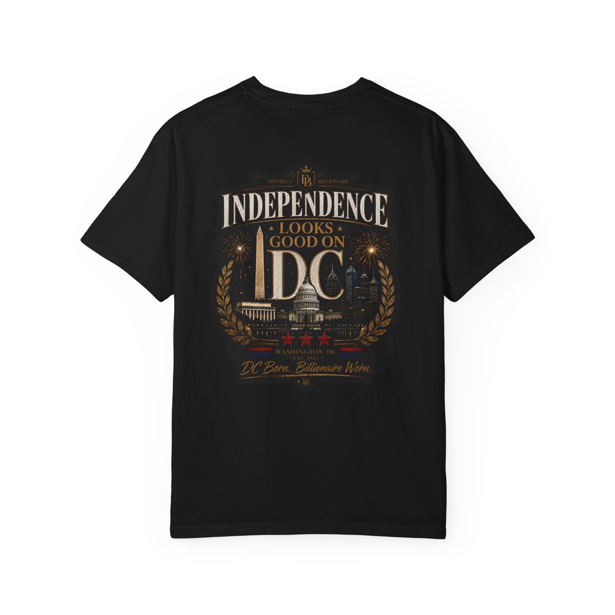 Independence Looks Good on DC T-Shirt