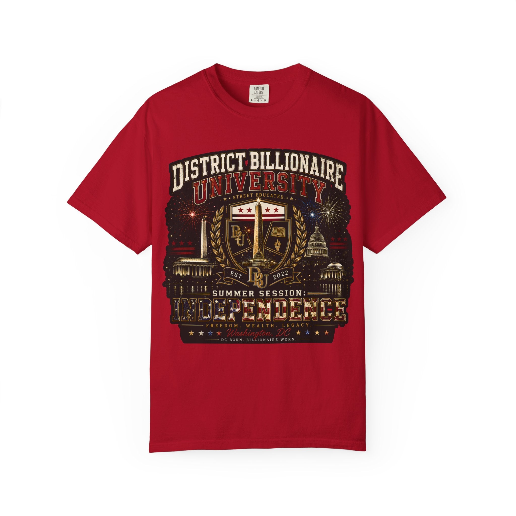 District Billionaire University Graphic T-Shirt — Vintage Collegiate Summer Session Tee